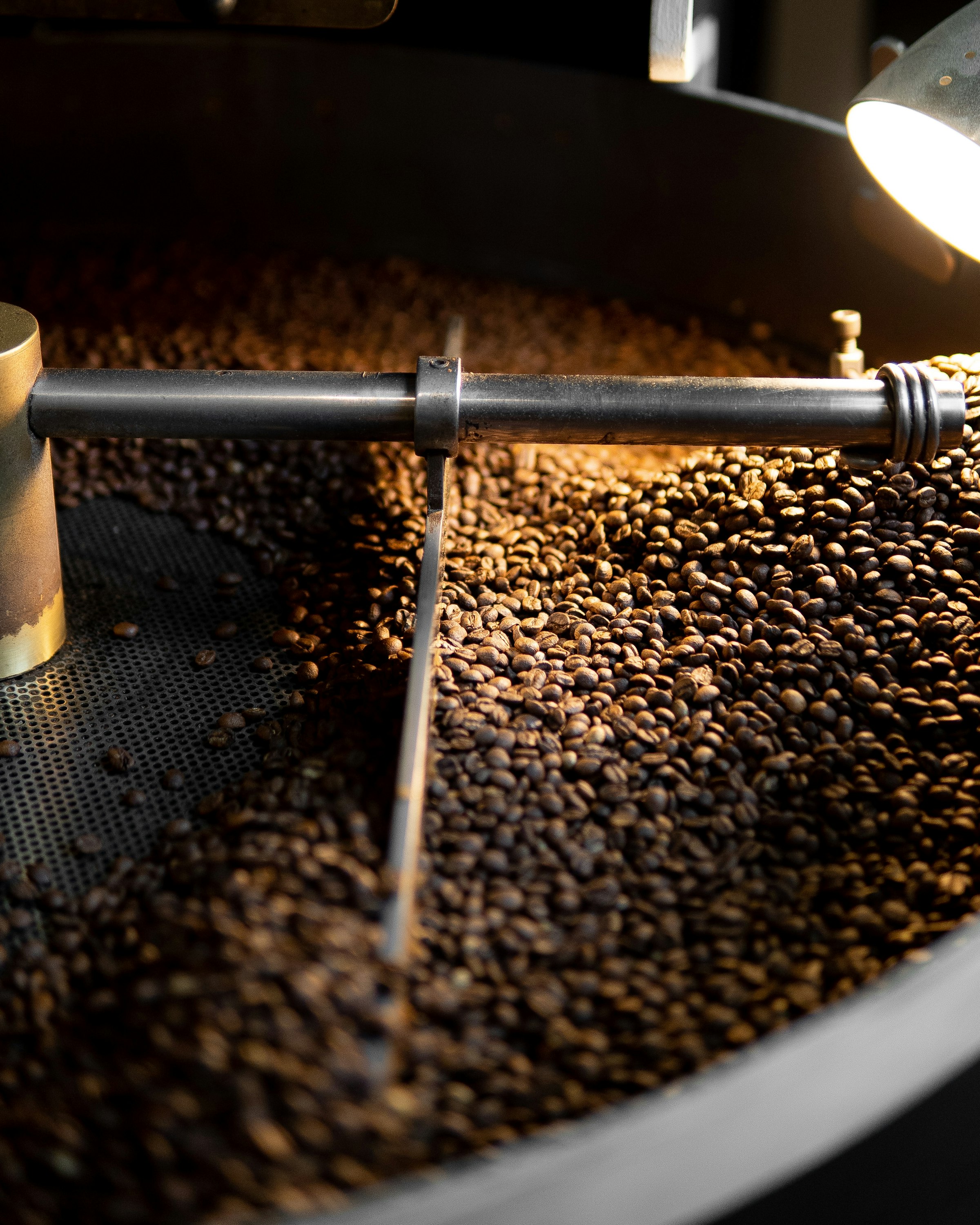 How to Start a Coffee Roasting Business in 2026